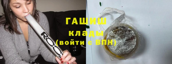 сатива Верея