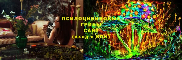 сатива Верея