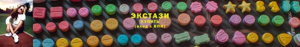 сатива Верея