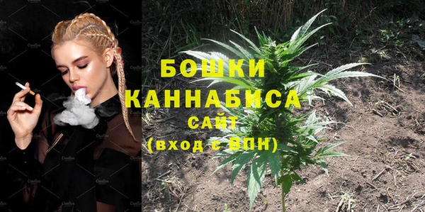 сатива Верея