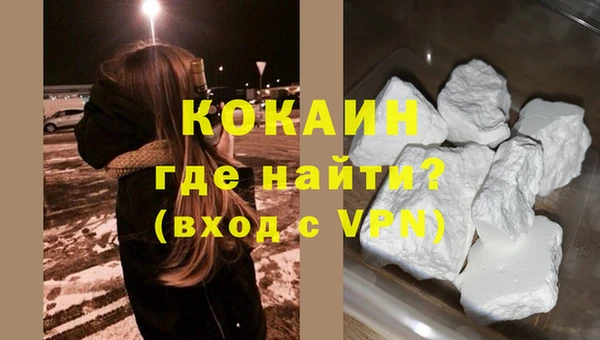 сатива Верея