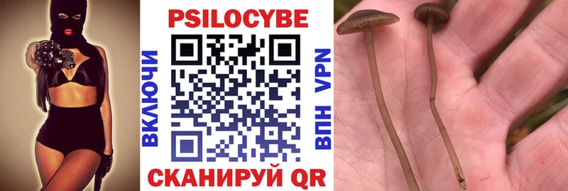 Галлюциногенные грибы мухоморы  мега зеркало  Кашин  где купить  