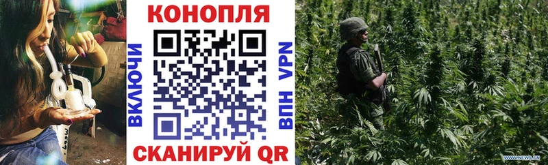 что такое   кракен ссылки  Канабис сатива  Кашин 